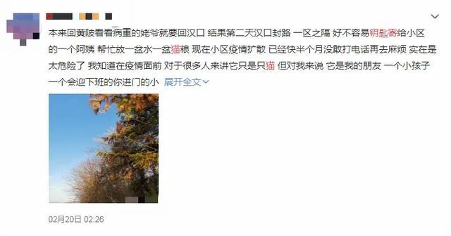 南宫28登录入口疫情过后一定要换智能锁(图3)