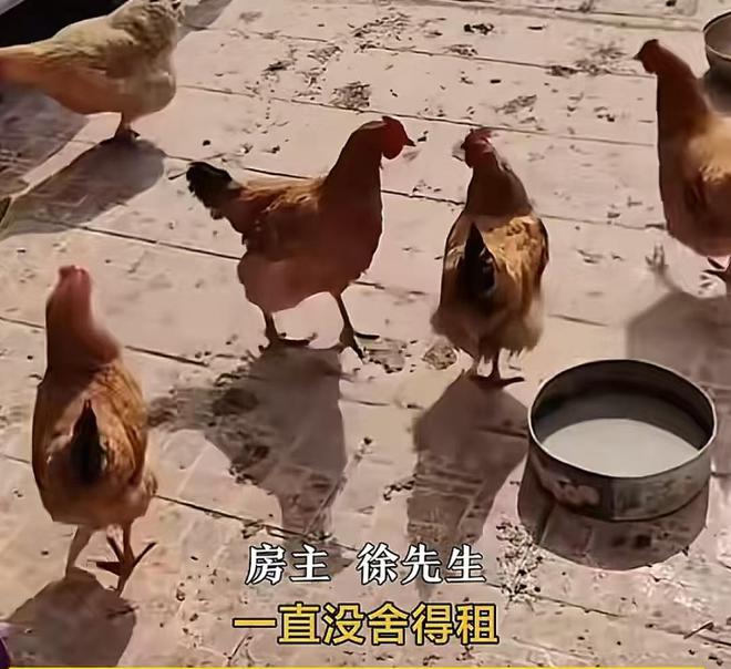 南宫NG·28(中国)官方网站缺了大德！男子婚房7年没住小区保洁撬了门锁养鸡到处(图3)