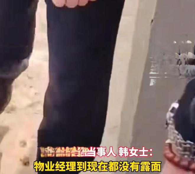 南宫NG·28(中国)官方网站缺了大德！男子婚房7年没住小区保洁撬了门锁养鸡到处(图12)