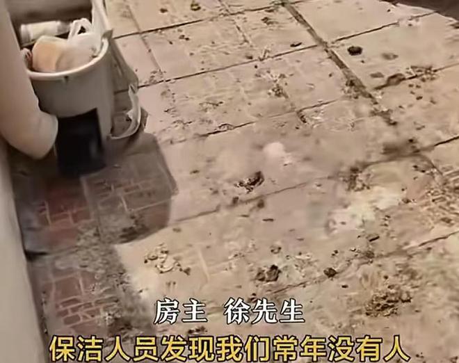 南宫NG·28(中国)官方网站缺了大德！男子婚房7年没住小区保洁撬了门锁养鸡到处(图11)