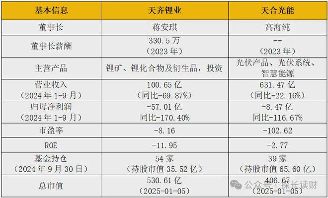 南宫28两家新能源巨头由“二代”美女董事长们能扭亏为盈吗？(图3)